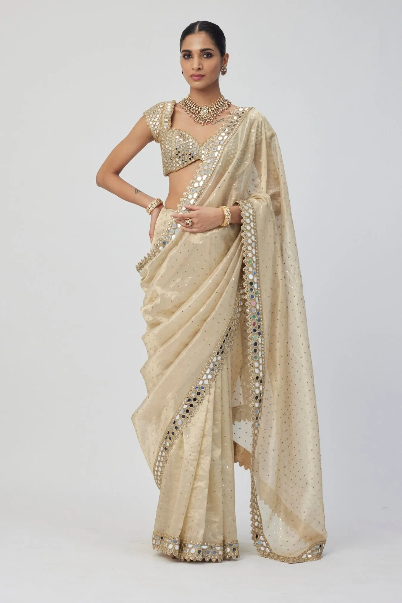Golden Shimmer Organza saree set