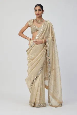 Golden Shimmer Organza saree set
