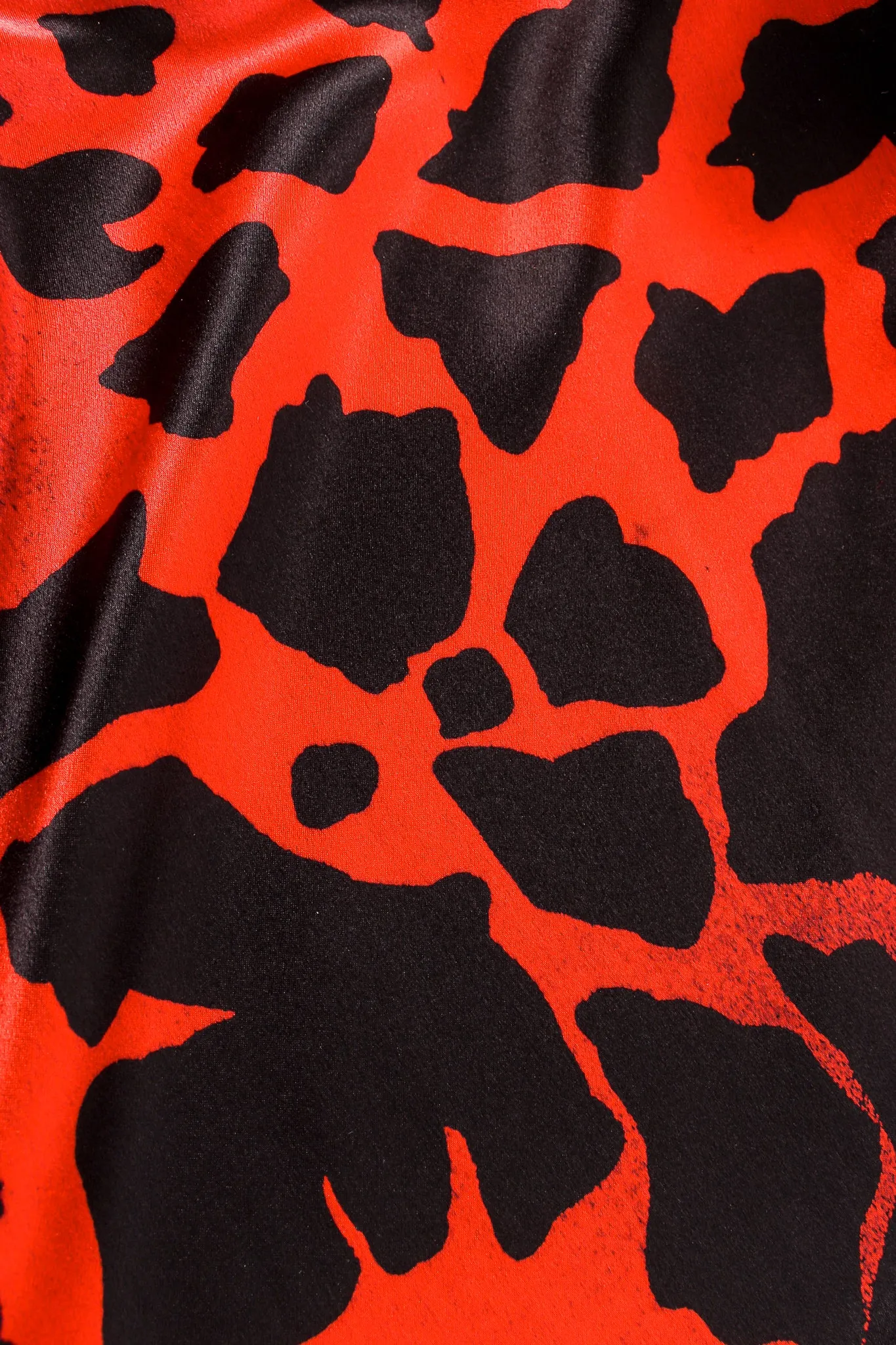 Graphic Animal Print Blouse