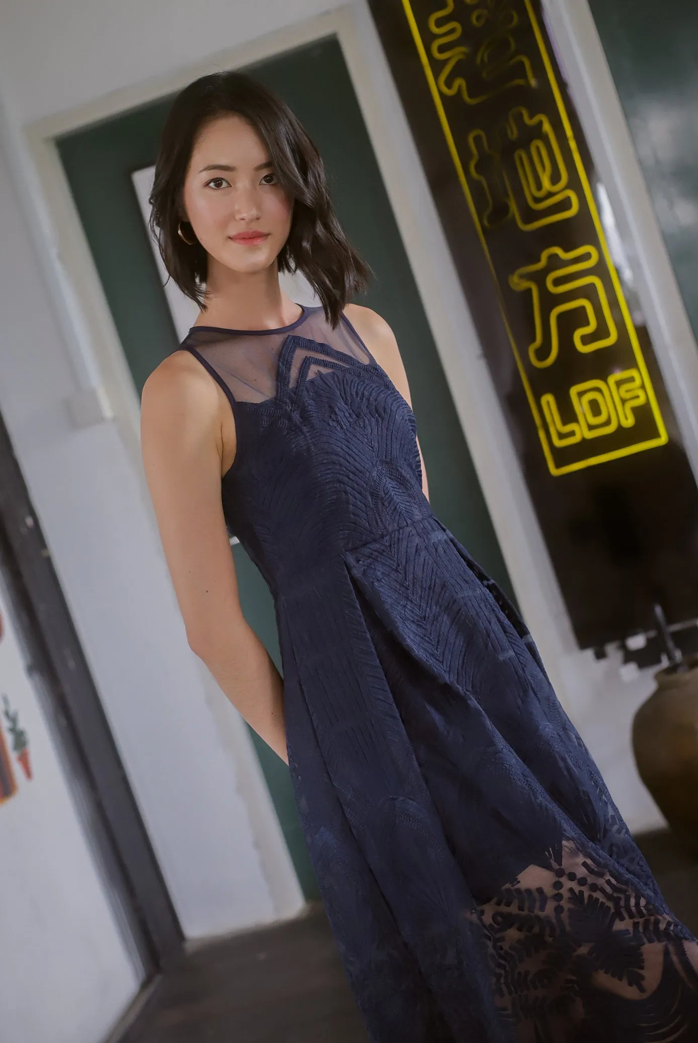 Harleigh Embro Mesh Dress In Navy Blue