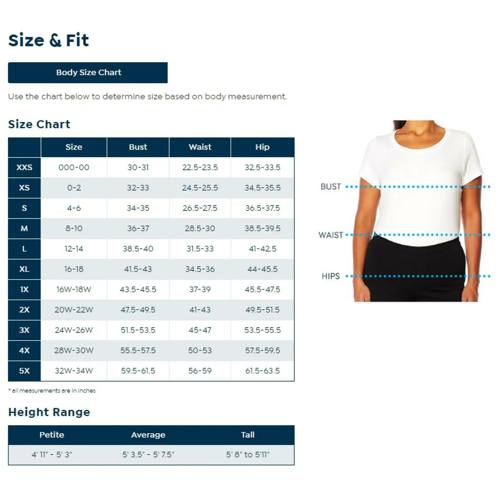 Heidi Daus Women's Plus Size Simply Sensational Graphic Jacquard Bell Sleeve Top