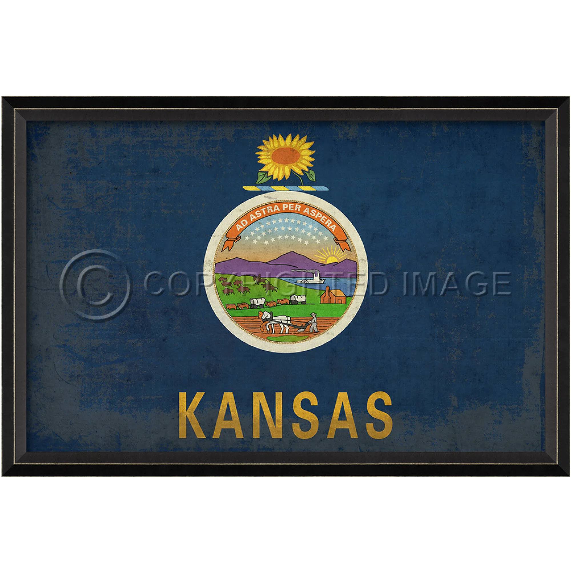 Kansas State Flag Wall Art