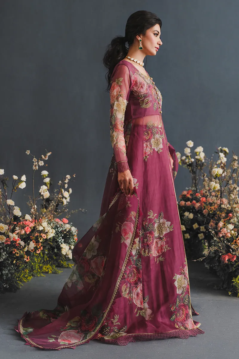 MUSHQ | LUXURY PRET PRINTED ORGANZA'23 | ENGIMA