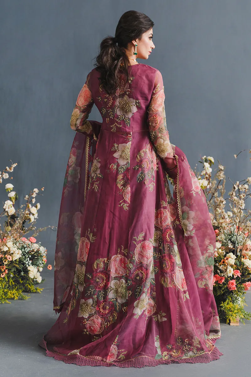 MUSHQ | LUXURY PRET PRINTED ORGANZA'23 | ENGIMA