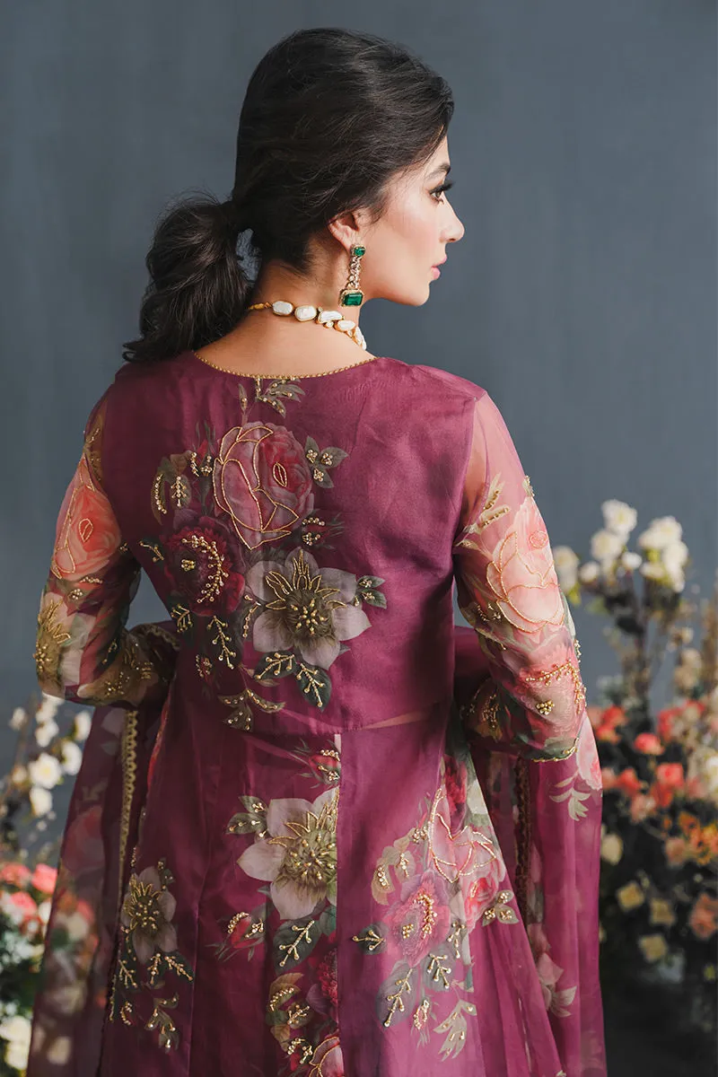 MUSHQ | LUXURY PRET PRINTED ORGANZA'23 | ENGIMA