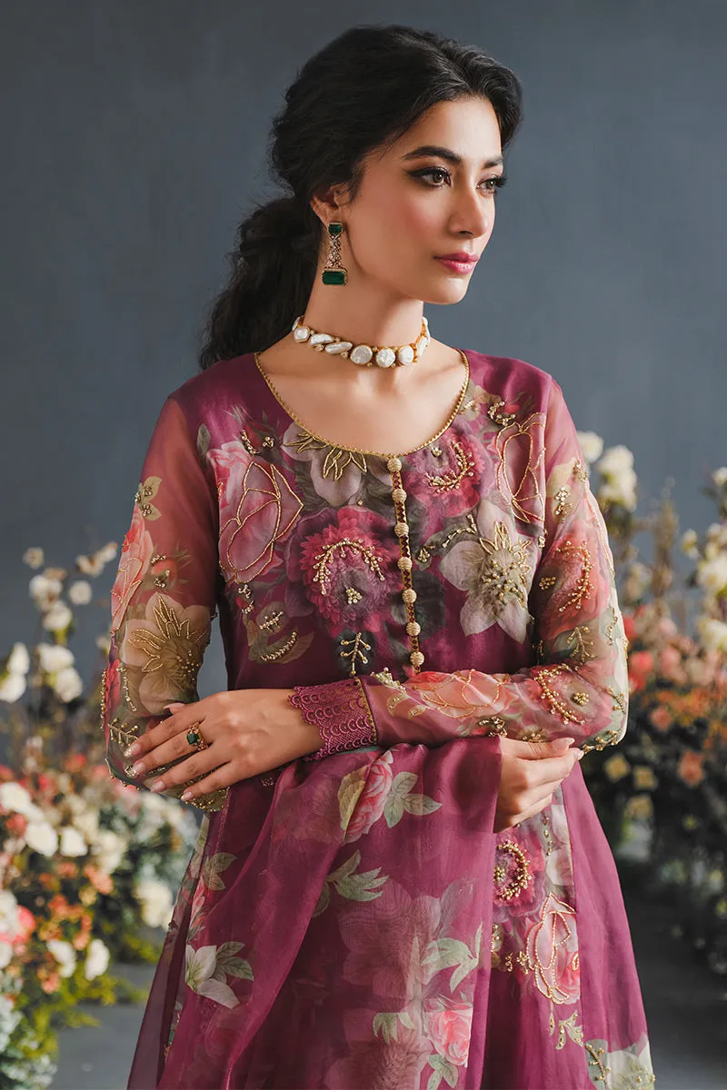 MUSHQ | LUXURY PRET PRINTED ORGANZA'23 | ENGIMA