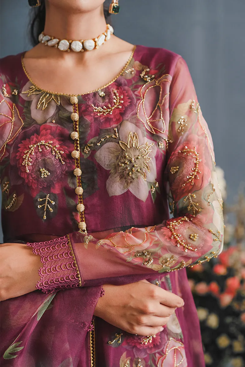 MUSHQ | LUXURY PRET PRINTED ORGANZA'23 | ENGIMA