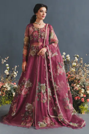 MUSHQ | LUXURY PRET PRINTED ORGANZA'23 | ENGIMA