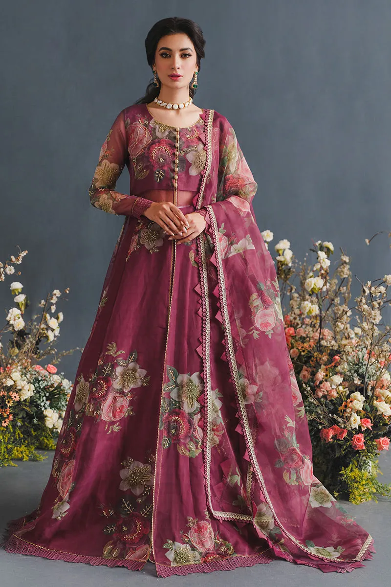 MUSHQ | LUXURY PRET PRINTED ORGANZA'23 | ENGIMA