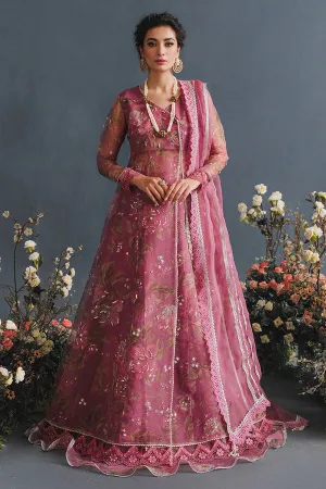 MUSHQ | LUXURY PRET PRINTED ORGANZA'23 | NEBULA