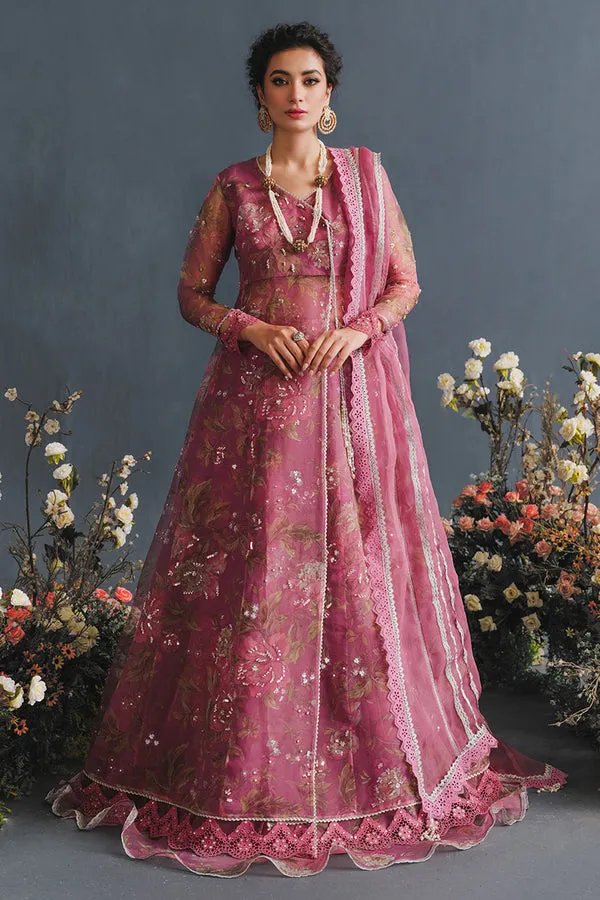 MUSHQ | LUXURY PRET PRINTED ORGANZA'23 | NEBULA