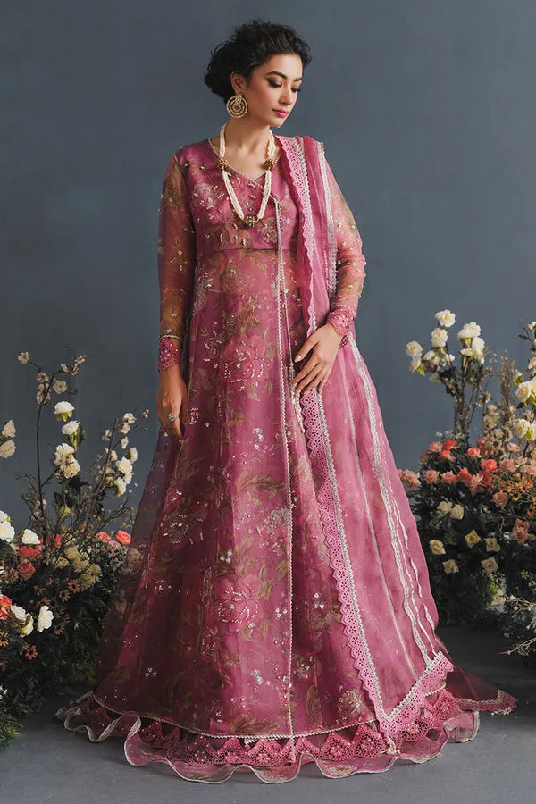 MUSHQ | LUXURY PRET PRINTED ORGANZA'23 | NEBULA