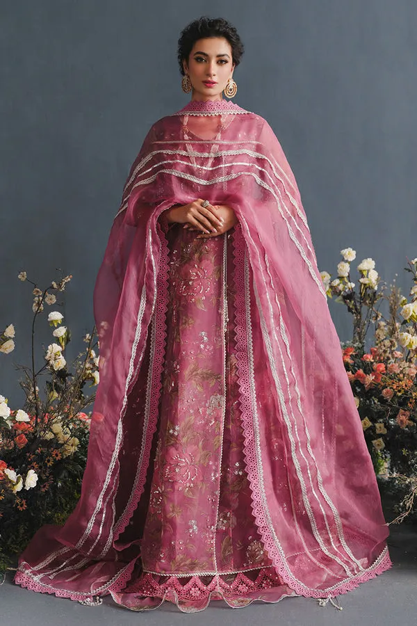 MUSHQ | LUXURY PRET PRINTED ORGANZA'23 | NEBULA