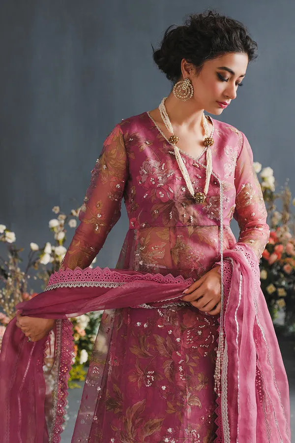 MUSHQ | LUXURY PRET PRINTED ORGANZA'23 | NEBULA