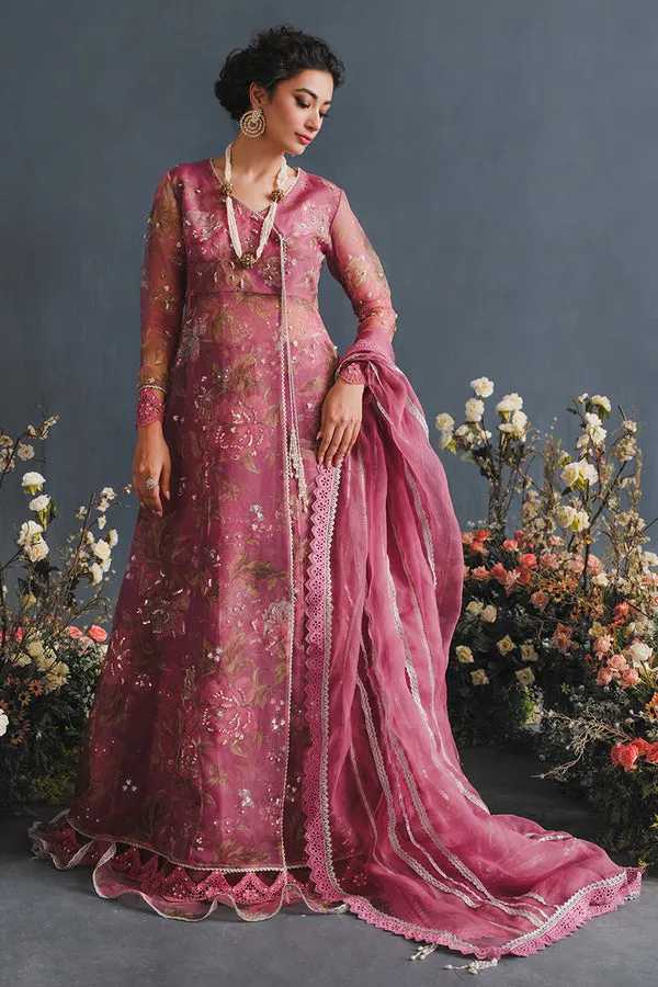 MUSHQ | LUXURY PRET PRINTED ORGANZA'23 | NEBULA