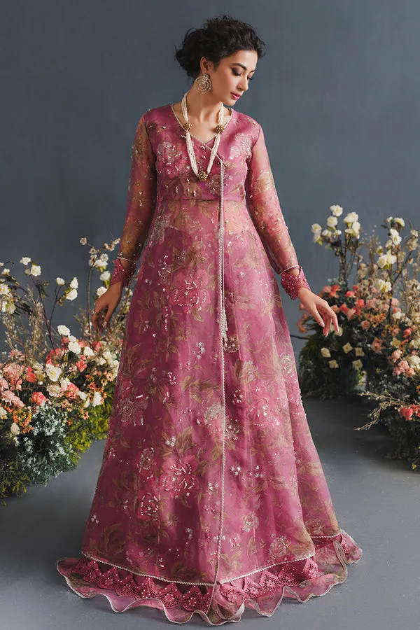 MUSHQ | LUXURY PRET PRINTED ORGANZA'23 | NEBULA