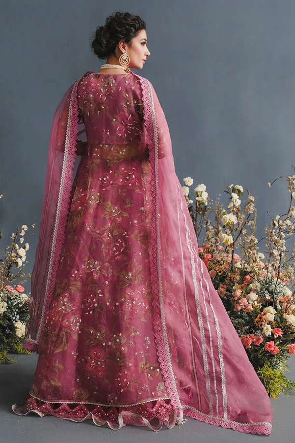MUSHQ | LUXURY PRET PRINTED ORGANZA'23 | NEBULA