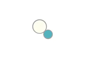 Nest Circle Medium Drop Earrings
