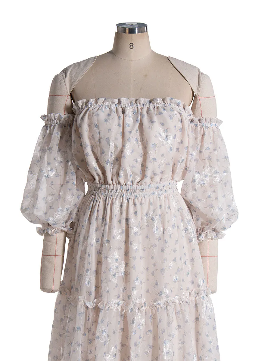 Off Shoulder Printed Chiffon Dress for Photo Shoot Woman Maxi Dress YW240069