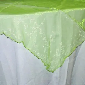 Organza Table Cover Overlay, 80-inch