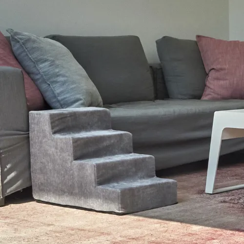 Pet Steps — Pumice