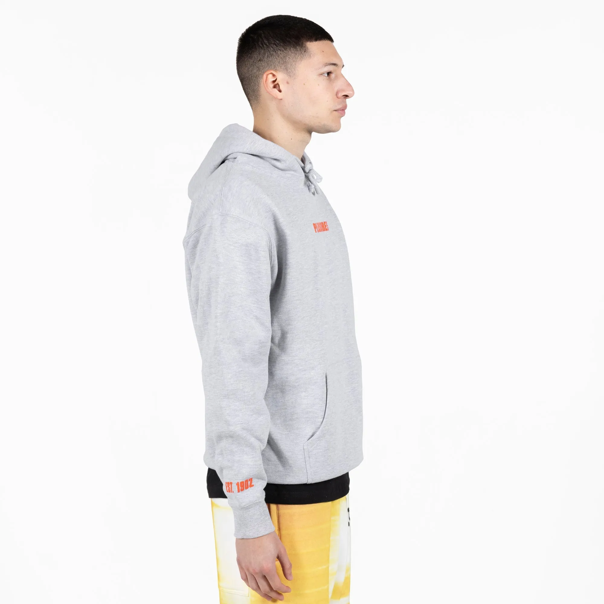 Pleasures Men Art News Hoodie Grey
