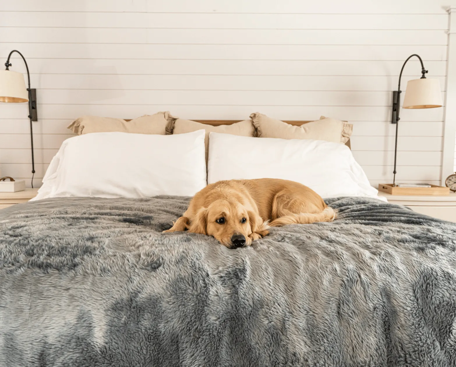 PupProtector™ Short Fur Waterproof Throw Blanket - Charcoal Grey