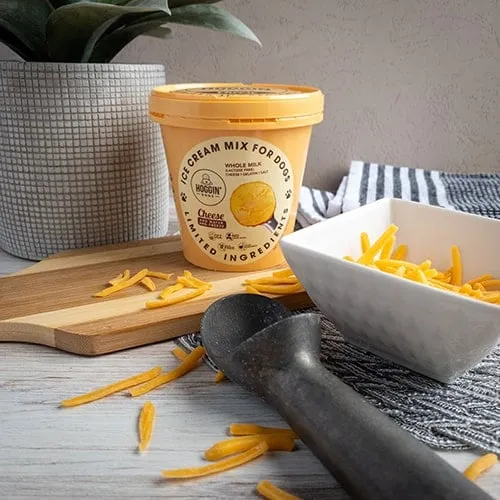 Puppy Scoops Hoggin' Dogs Cheese Flavor Ice Cream Dog Treat