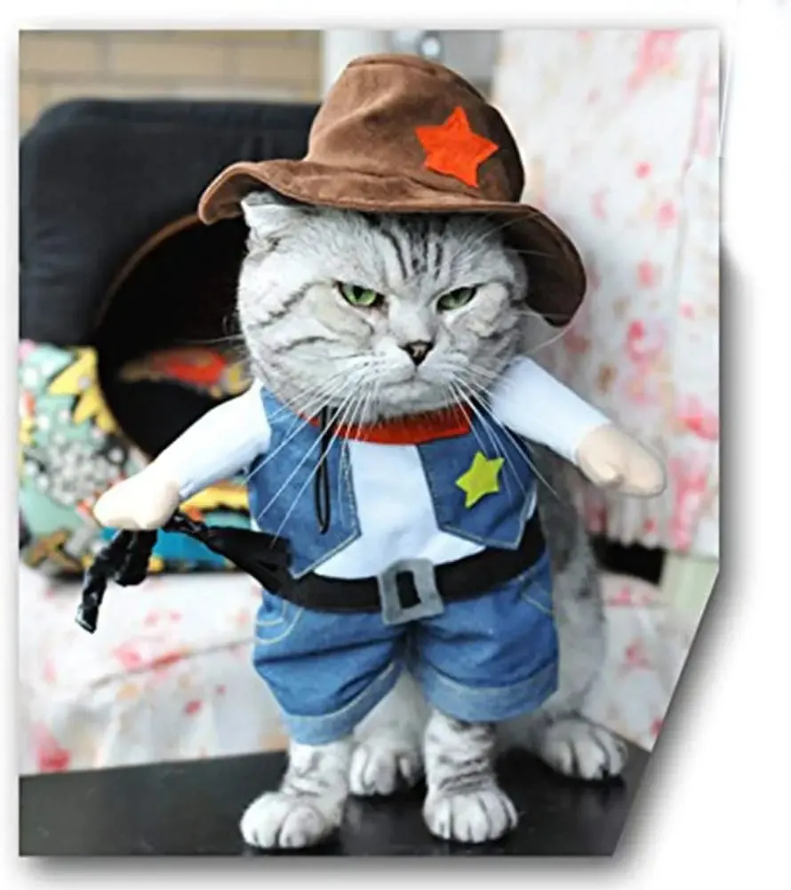 PurrfectOutlaw Kit
