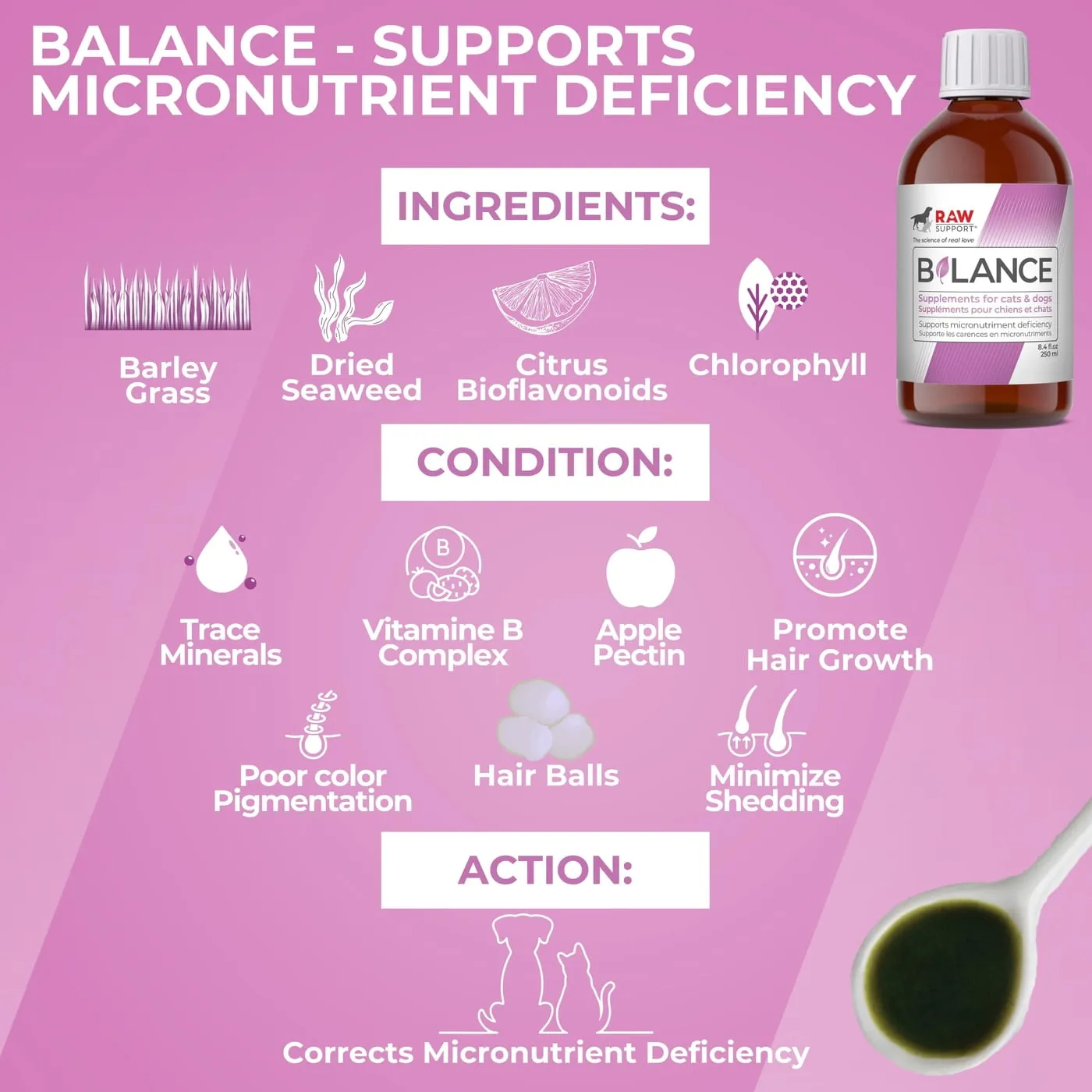Raw Support Inc -Balance