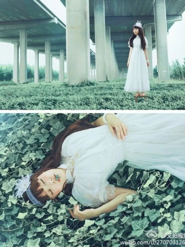 sleeping princess chiffon dress