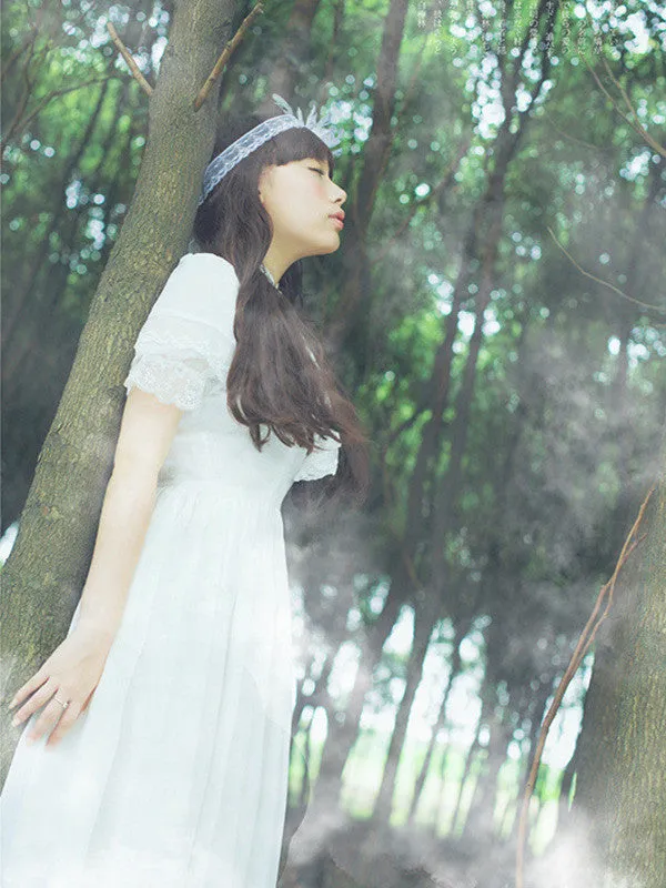 sleeping princess chiffon dress