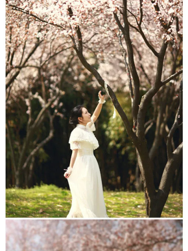 sleeping princess chiffon dress