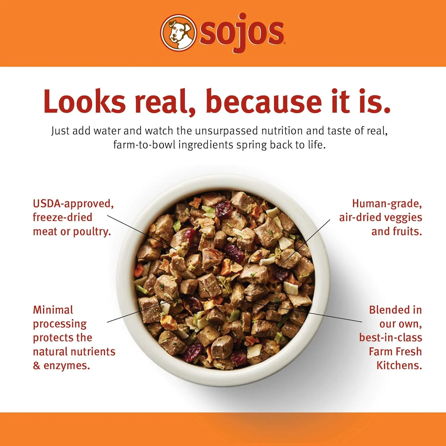 SOJOS Complete Adult Dog Food - Beef