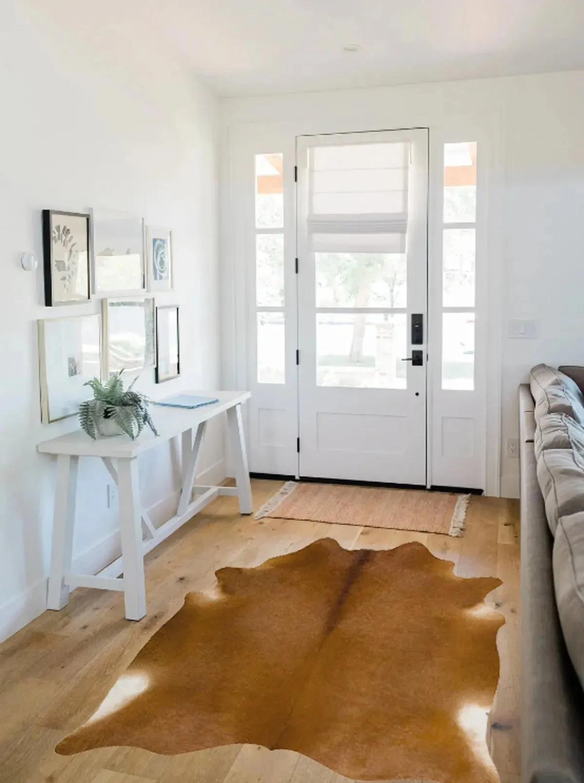 Solid Brown Cowhide Rug