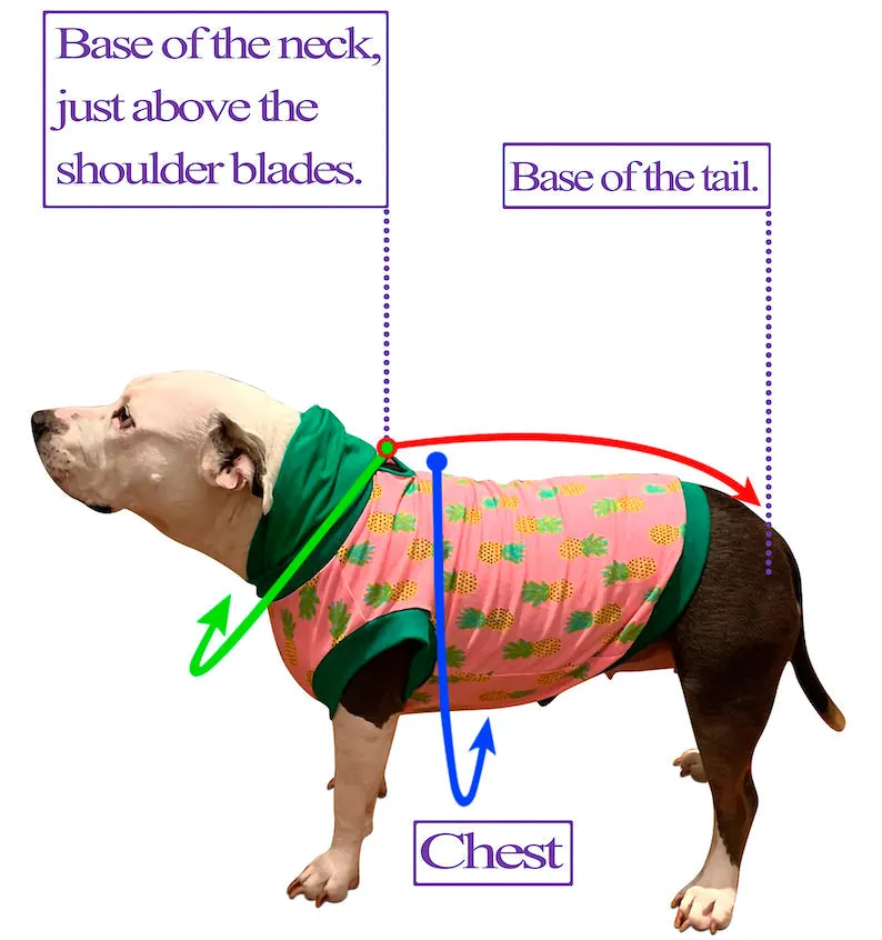 The Joker Dog Costume