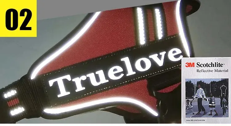 True Love Dog Harness TLH5753 - Royal Blue