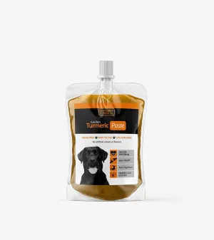 Turmeric Golden Paste