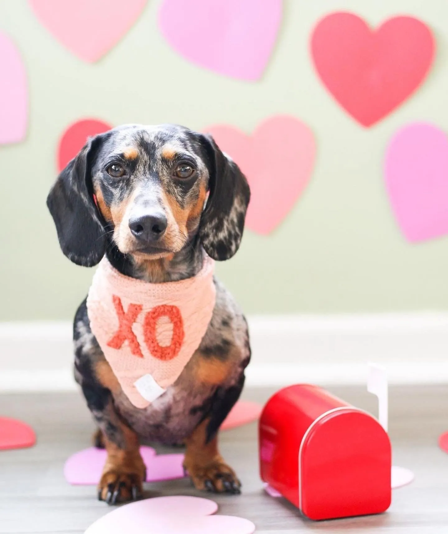 Valentine's Day XO