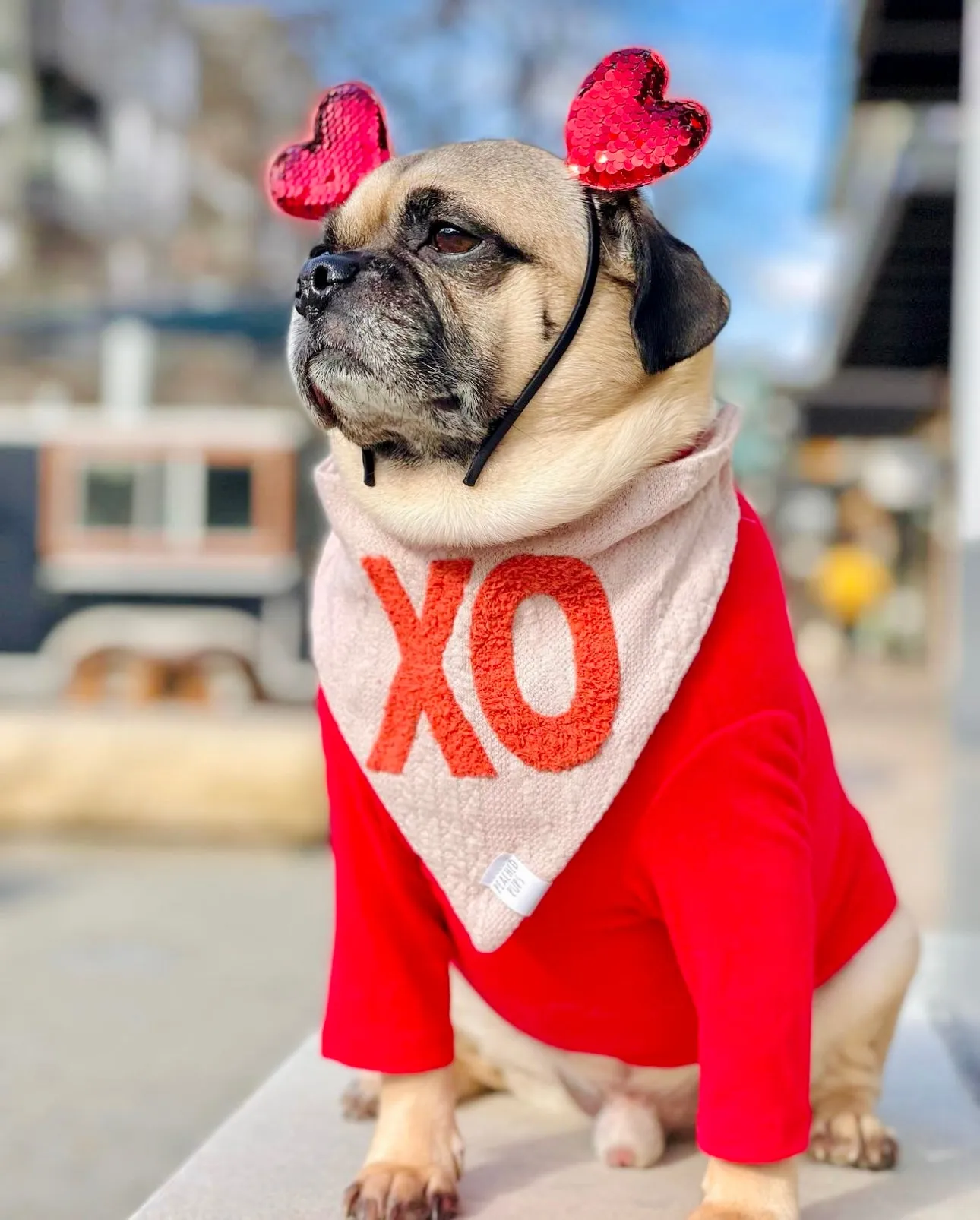 Valentine's Day XO