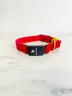 Velvet Red Fi Compatible Collar
