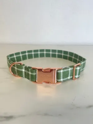 White Eucalyptus Fi Compatible Collar